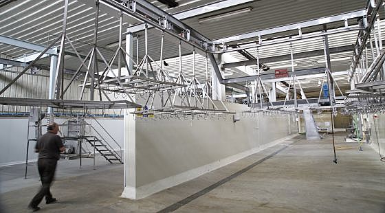 asepsia en mataderos