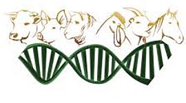 Timeline: HISTORIA DE LA GENÉTICA HASTA NUESTROS DIAS