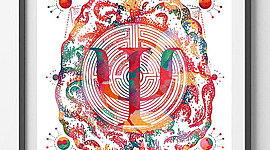 Timeline: Antecedentes del DO