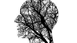 Timeline: Concepto de pedagogía y teorías del aprendizaje significativo