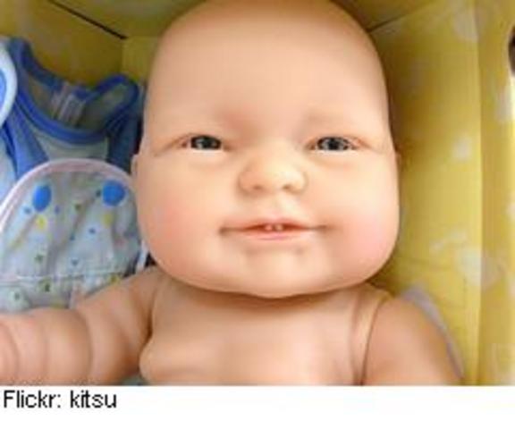 5 Basic Needs - Birth of Vanizzlefayce