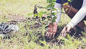 Preocupación Medioambiental