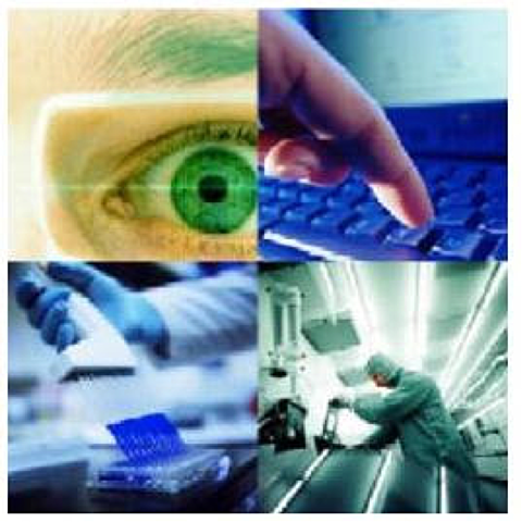 Distintos Elementos del Conocimiento