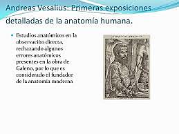 Andreas Vesalius (1511 - 1564)