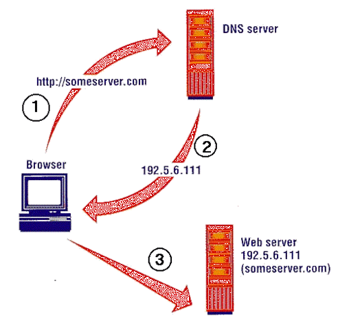 Protocolo TCP/IP