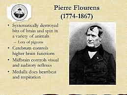 Marie Jean Pierre Flourens