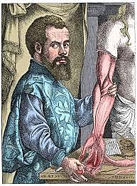 Andreas Vesalius (1514-1564)