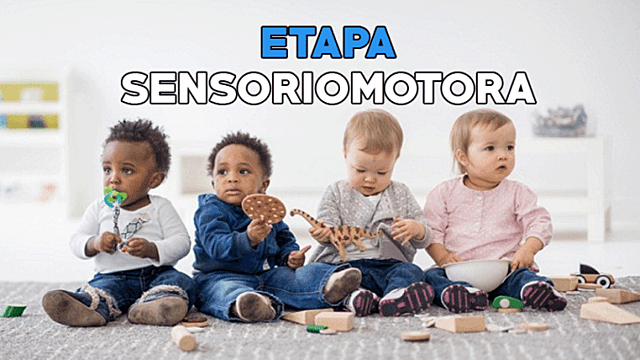 Etapas evolutivas