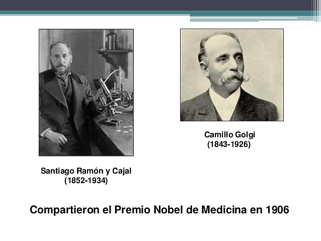 Camillo Golgi (1843-1926) y Santiago Ramón y Cajal (1852-1934).