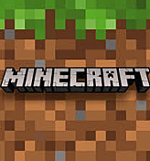 started playing minecraft