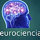 0. neurociencia