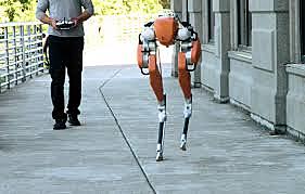 Robot biped