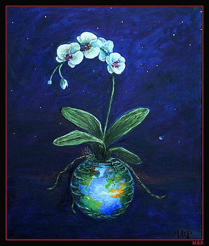 fragilidad de la tierra.