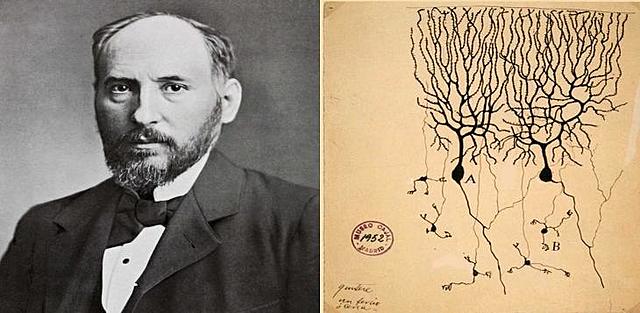 Santiago Ramón y Cajal