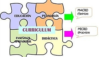 Curriculum