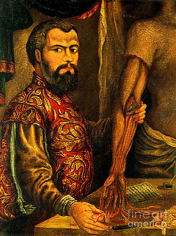 Andreas Vesalius