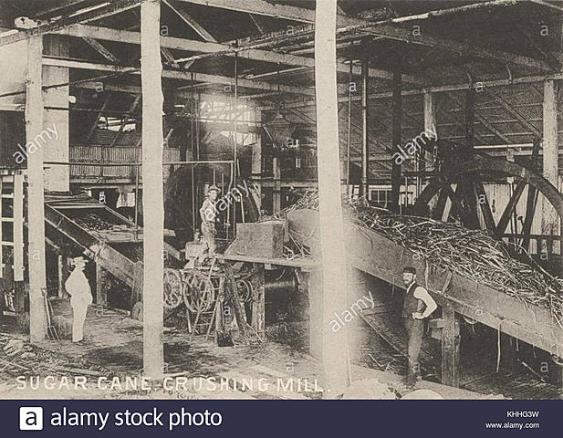 primeros inspectores de la calidad