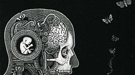 Timeline: Neurociencias de la Conducta: Un Viaje que no se Detiene