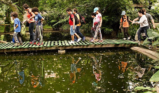 La Experiencia Natural