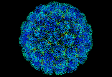 Virus de polio
