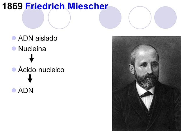 Friedrich Miescher