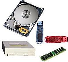 Dictamen Fiscal por dispositivos