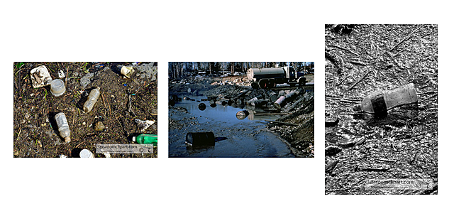 Problemas ambientales.