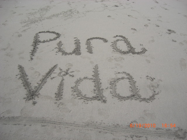 Day 6 - travel day to the beach with a stop to meet crocodiles