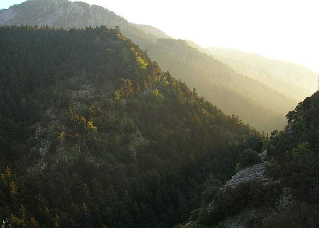 Fuera arrojado desde el monte Taigeto