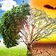 Img impacto ambiental del aumento de las temperaturas 90 600