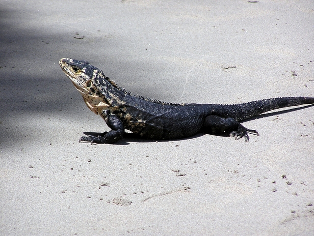 Final day - travel home