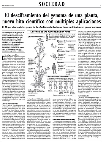 Mapa completo del genoma de una planta comestible