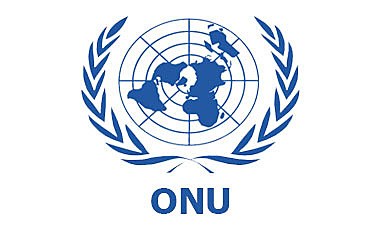 Organización de la Naciones Unidas