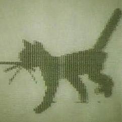 Создание компьютерной математической модели движения кошки.