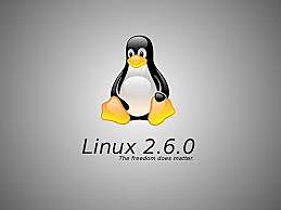 Linux 2.6.0