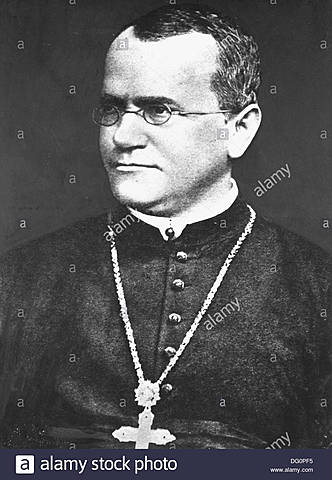 Johann Gregor Mendel