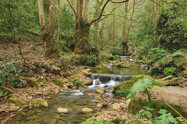 FUNDACIÓN DE IUPN EN FRANCIA