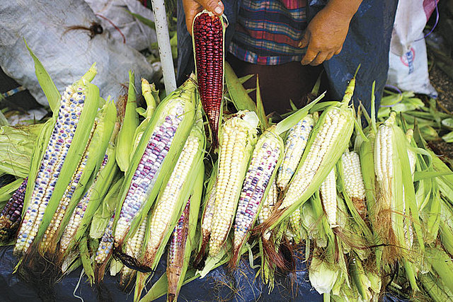 PROTOCOLO DE CARTAGENA