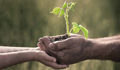 CUMBRE DEL MILENIO EN NEW YORK