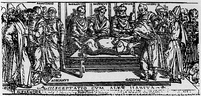 Conociendo el Cerebro