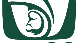 Timeline: RIESGOS DEL TRABAJO EN LA LEY DEL SEGURO SOCIAL