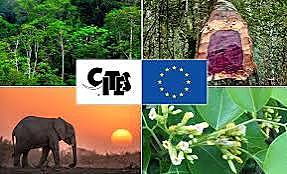 CITES