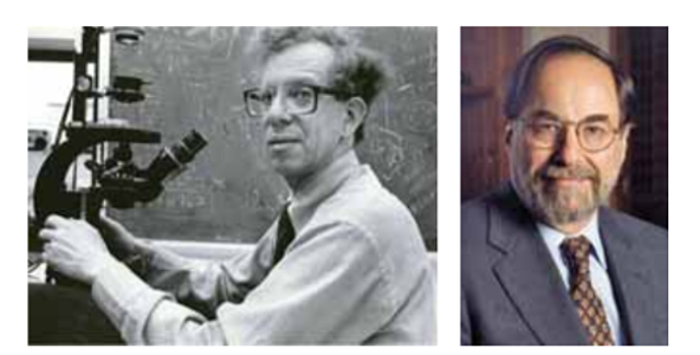 Howard Martin Temin y David Baltimore