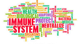 Timeline: Historia de la inmunología