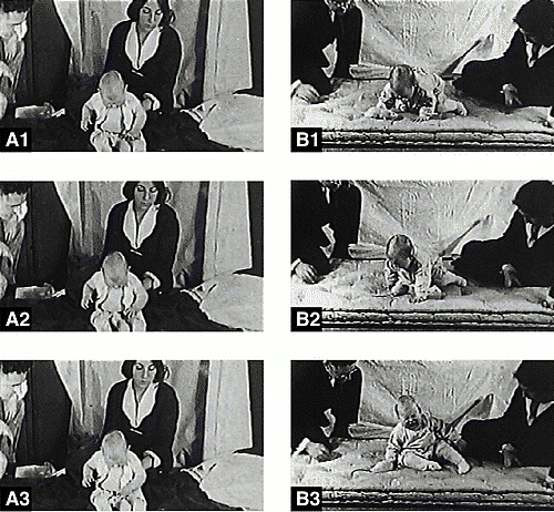 Experimento realizado con el pequeño Albert