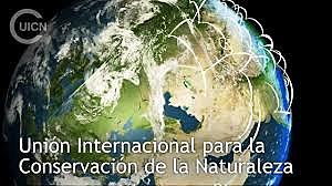 UICN fue fundada como la international union for the protection of nature (IUPN)