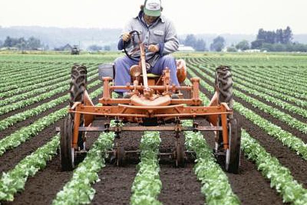 Real Sociedad de Estadística