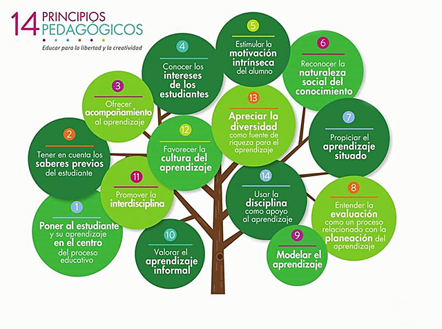 Principios Pedagógicos