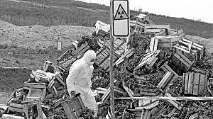 Desastre Nuclear en Chernobyl