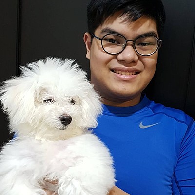 Timeline: Exposure to Traditional and New Media